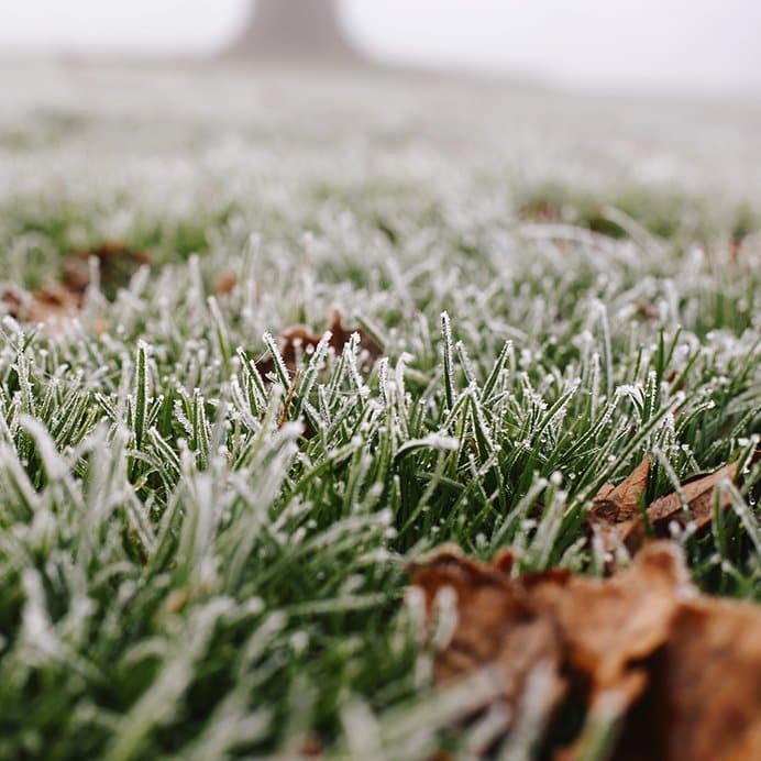 Lawn Winterization: The Benefits Of Winterizing