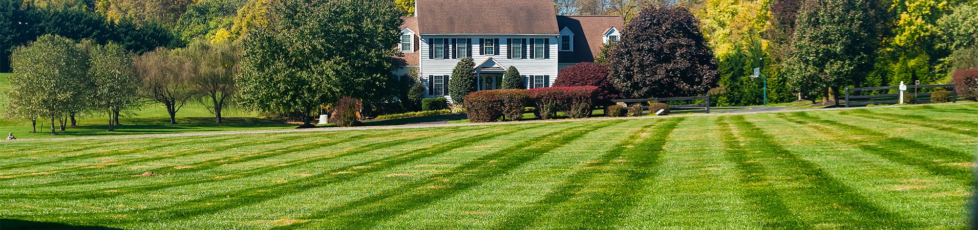 Fertilization Company – Fishers, IN: Why Professional Lawn Fertilization is Key to a Healthy Lawn