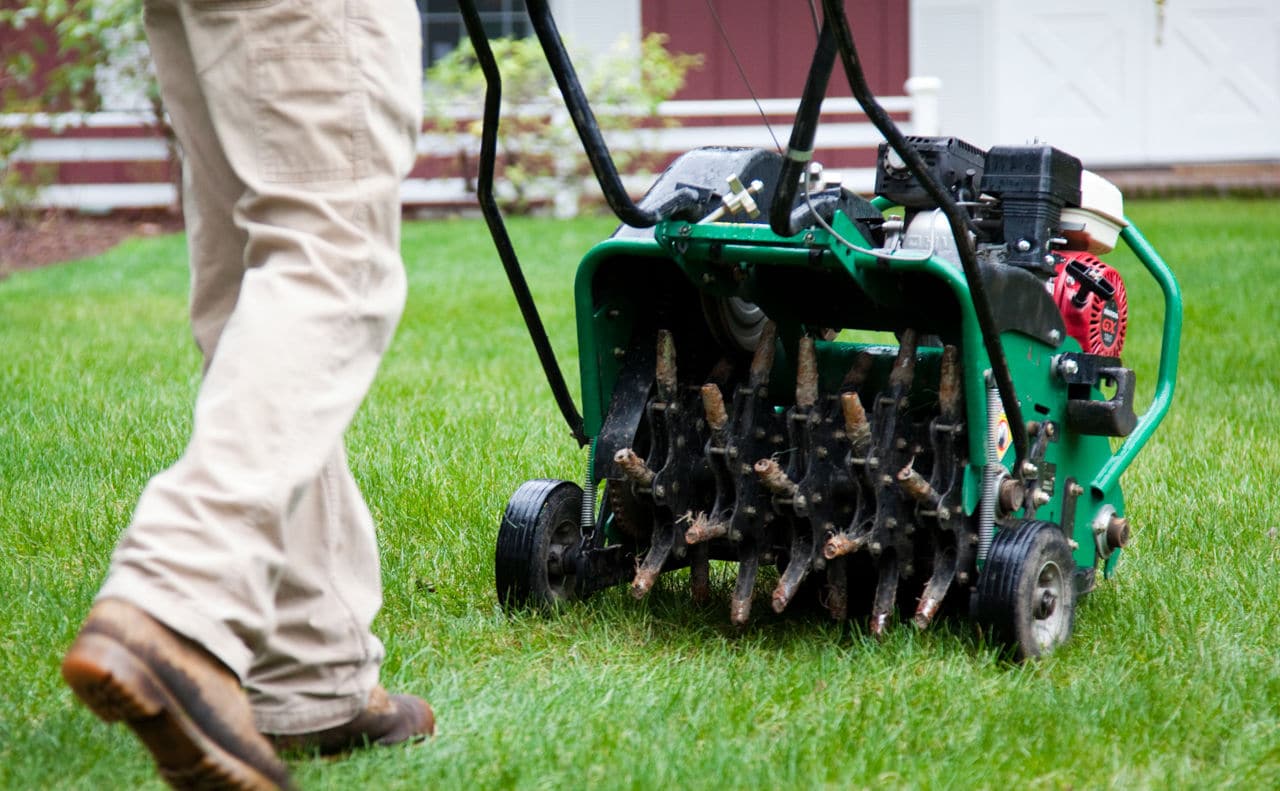 The Ultimate Homeowner DIY Lawn Aeration Guide