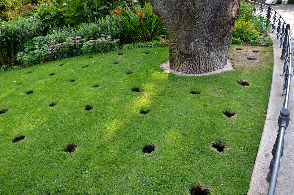 Why Lawn Aeration is Essential for a Healthy Lawn 24/7